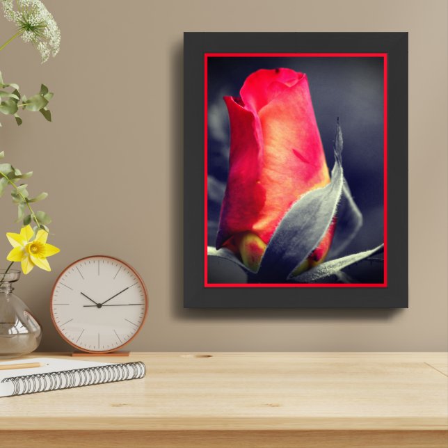 Red Rosebud Black And White Partial Framed Art (Table Top)