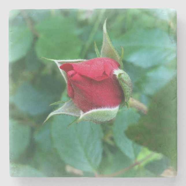 red rosebud stone coaster (Front)