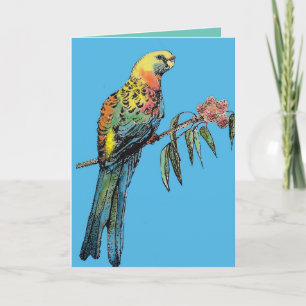 Red Rosella Parrot Bird Watercolor Birthday Card
