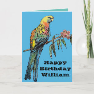 Red Rosella Parrot Bird Watercolor Birthday Card
