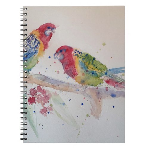 Red Rosella Parrot Watercolour Painting Notebook