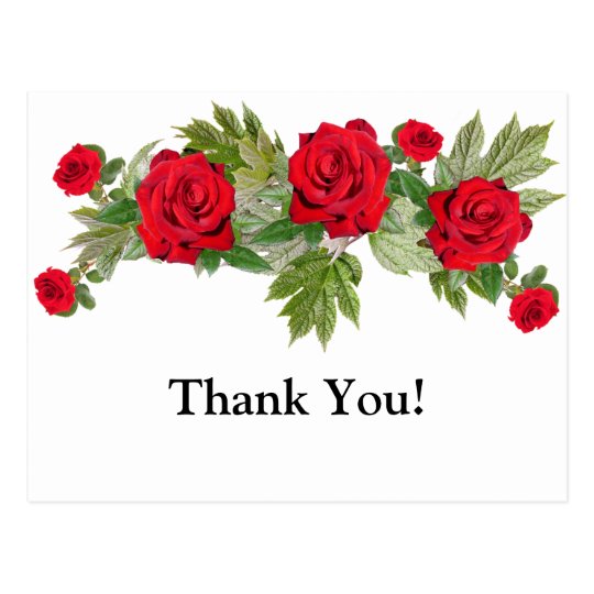 Red Roses 3 Thank You Graduation Postcard | Zazzle.com