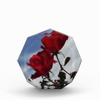 Red Roses Against a Bright Blue Sky Acrylic Award