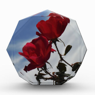 Red Roses Against a Bright Blue Sky Award