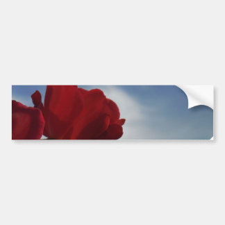 Red Roses Against a Bright Blue Sky Bumper Sticker