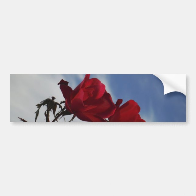 Red Roses Against a Bright Blue Sky Bumper Sticker (Front)