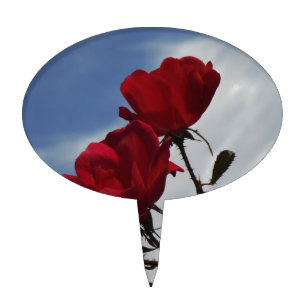 Red Roses Against a Bright Blue Sky Cake Topper