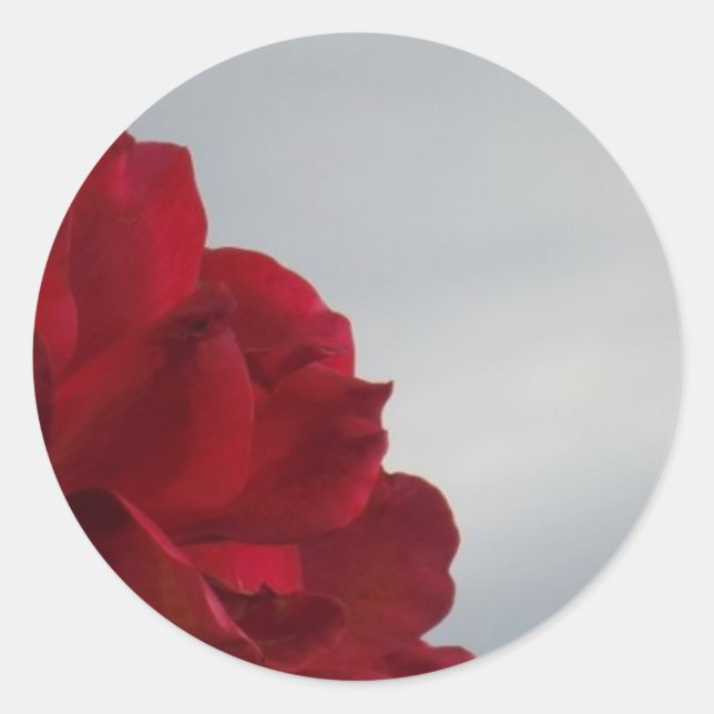 Red Roses Against a Bright Blue Sky Classic Round Sticker (Front)