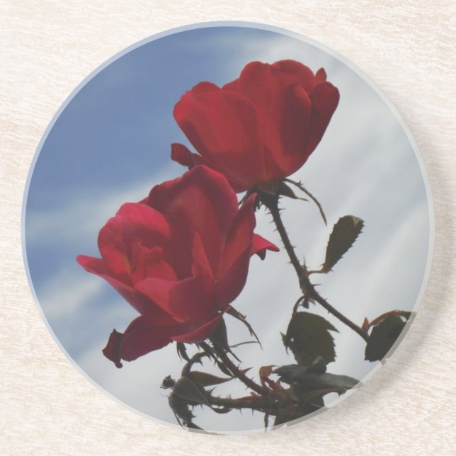 Red Roses Against a Bright Blue Sky Drink Coaster (Front)