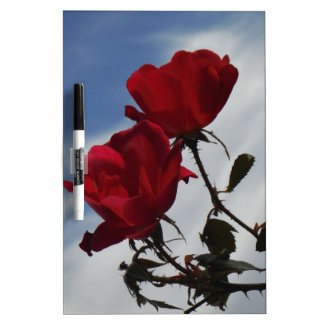 Red Roses Against a Bright Blue Sky Dry Erase Board