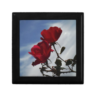Red Roses Against a Bright Blue Sky Gift Box