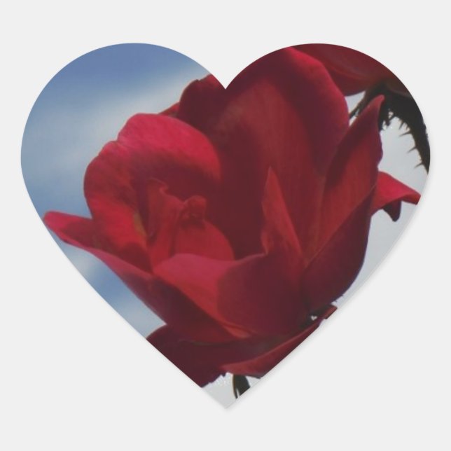 Red Roses Against a Bright Blue Sky Heart Sticker (Front)