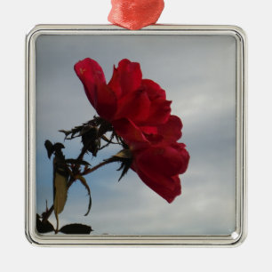 Red Roses Against a Bright Blue Sky Metal Ornament