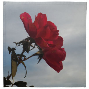 Red Roses Against a Bright Blue Sky Napkin