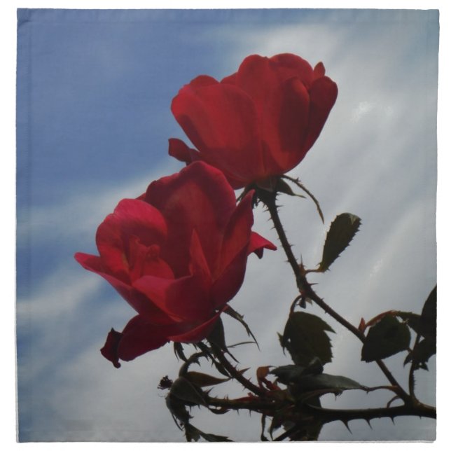 Red Roses Against a Bright Blue Sky Napkin (Front)
