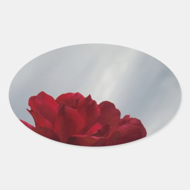 Red Roses Against a Bright Blue Sky Oval Sticker (Front)