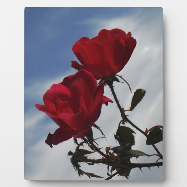 Red Roses Against a Bright Blue Sky Plaque (Front)