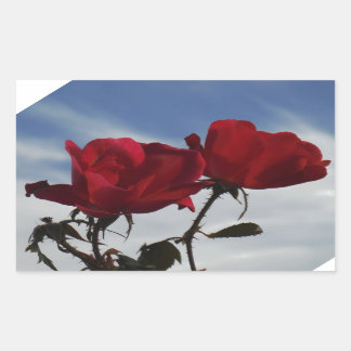 Red Roses Against a Bright Blue Sky Rectangular Sticker