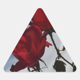 Red Roses Against a Bright Blue Sky Triangle Sticker