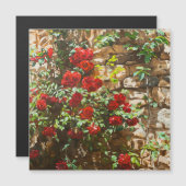 Red Roses Against a Stone Wall (Front/Back)
