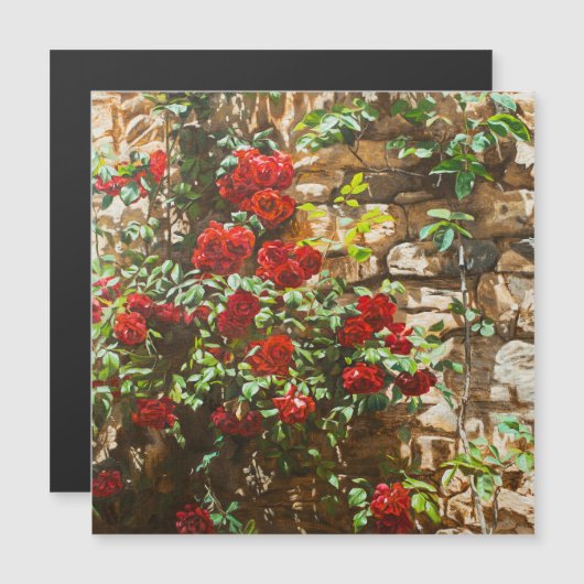 Red Roses Against a Stone Wall (Front/Back)