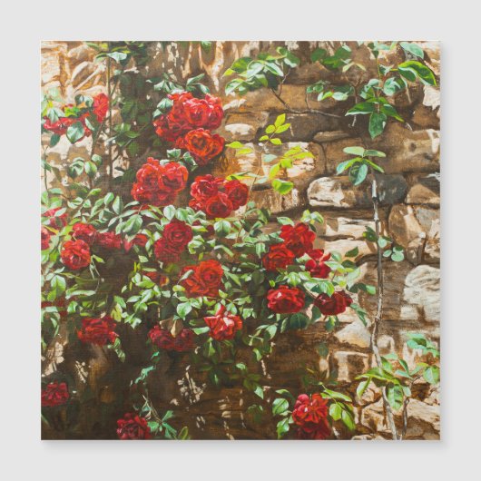 Red Roses Against a Stone Wall (Front)