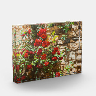 Red Roses Against a Stone Wall Photo Block