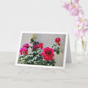 Red Roses against Garden Wall Card