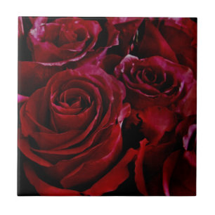 Red Roses all around Ceramic Tile