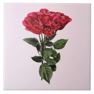 Red Roses and Leaves Ceramic Tile