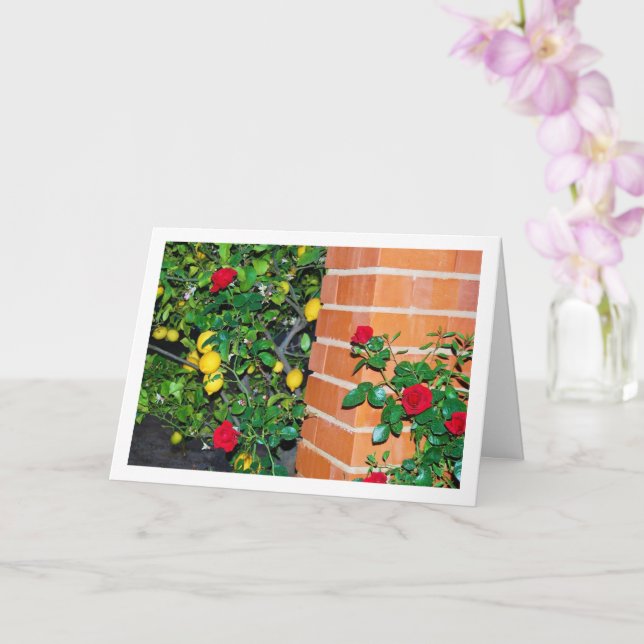 Red Roses and Lemons Card (Orchid)