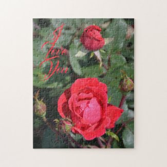 Red Roses and Rose Buds Floral Photographic