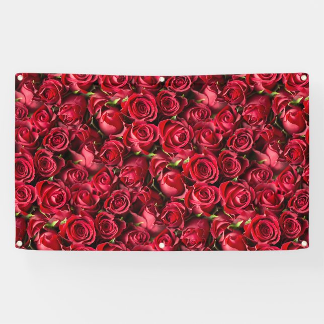 Red Roses Banner (Horizontal)