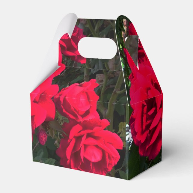 Red Roses blooming  Favor Boxes (Front Side)