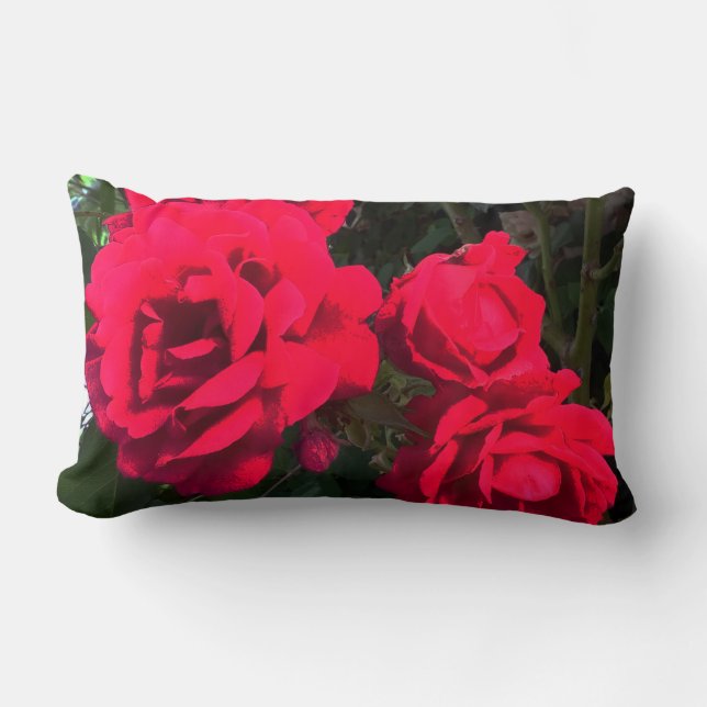 Red Roses Blooming  Lumbar Pillow (Front)