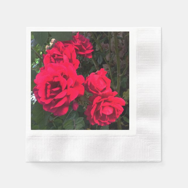 Red Roses Blooming  Napkins (Front)