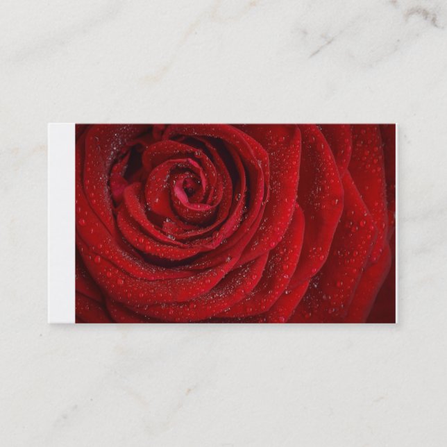 Red Roses Business Cards (Front)