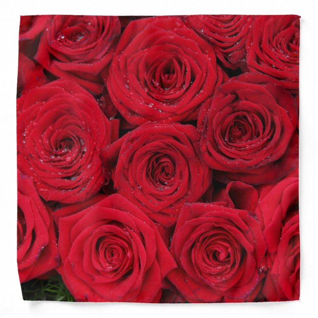 Red roses by Therosegarden Bandana (Front)