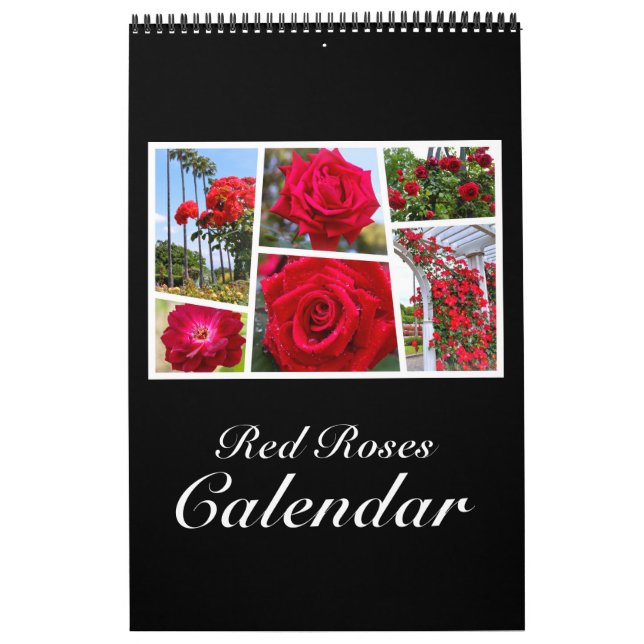Red Roses Calendar (Type-B) (Cover)
