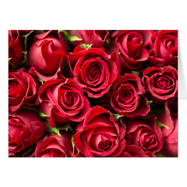 Red Roses Card (Front Horizontal)