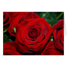 Red Roses