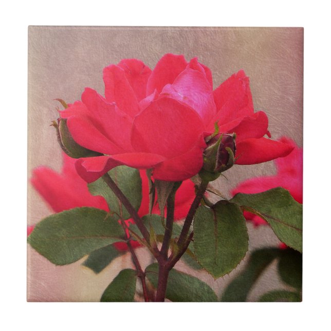 Red Roses Ceramic Tile (Front)