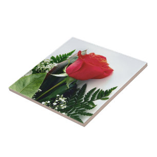 Red roses ceramic tile