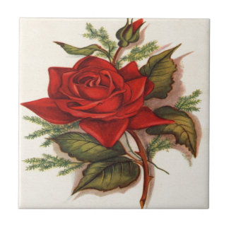 Red Roses Ceramic Tile
