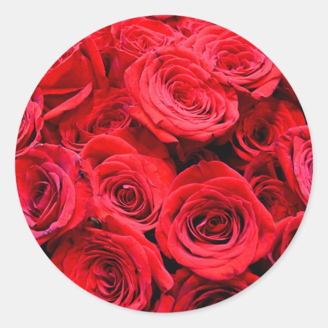 Red Roses Classic Round Sticker (Front)