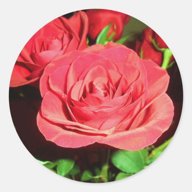 Red Roses Classic Round Sticker (Front)