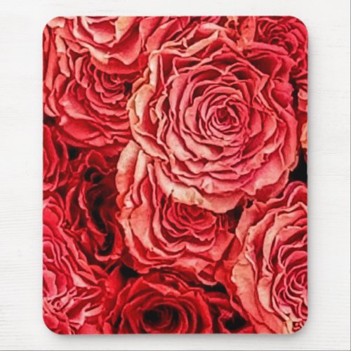 Red Roses Closeup Mouse Pad