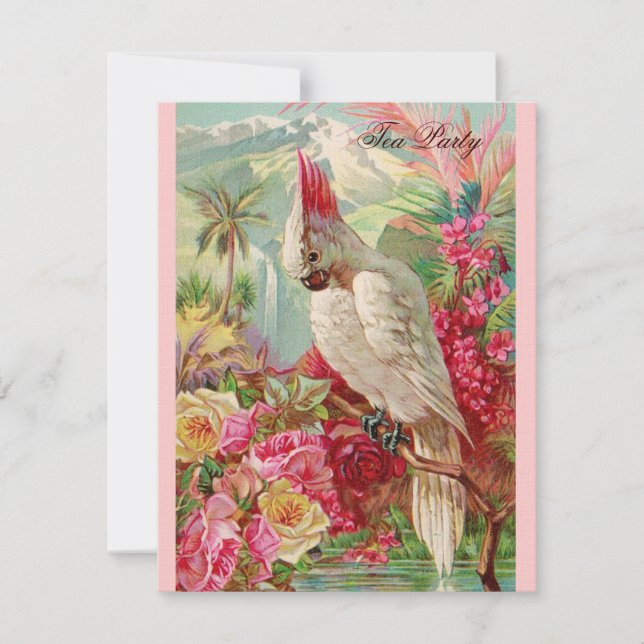 Red Roses & Cockatoo Vintage Art Invitation (Front)