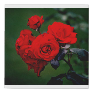 Red Roses Faux Canvas Print