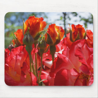 Red Roses Floral Garden Quality mousepads gifts